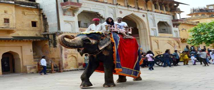 An elephant in the City of Jaipur - Amer Mahal passes away due to lack of medical aid on time